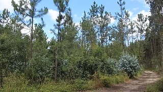 Land for sale in Marinha Grande, Portugal — €250,000
