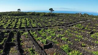 Land for sale in Madalena, Portugal — €300,000