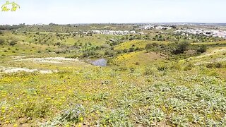 Land for sale in Castro Marim, Portugal — €44,000