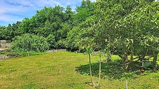 Land for sale in Ribeira Grande, Portugal — €155,000