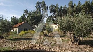 Terreno em Santarém · 8440 m² · 120 000 €