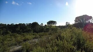 Land for sale in Tomar, Portugal — €25,000