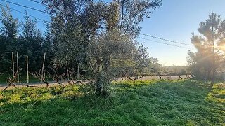 Terreno · 2400 m² · 14 900 €