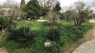 Land for sale in Torres Novas, Portugal — €88,000