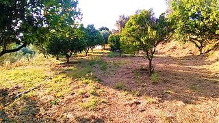 Land for sale in Sardoal, Portugal — €37,900