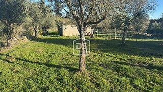 Terreno de 1250 m² em Castelo Branco