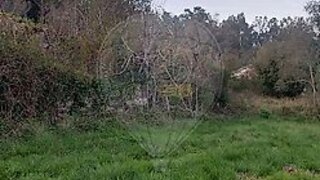 Land for sale in Pombal, Portugal — €12,500