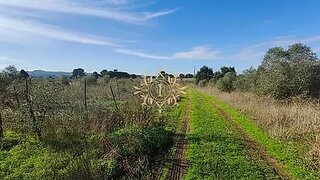 Land for sale in Palmela, Portugal — €49,900