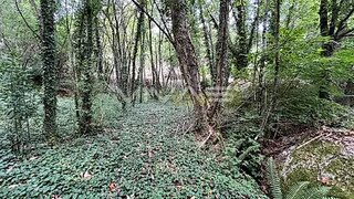 Terreno em Amares