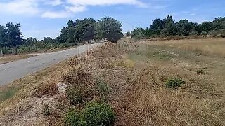 Land for sale in Penamacor, Portugal — €17,000