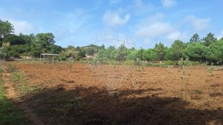 Land for sale in Peniche, Portugal — €33,000