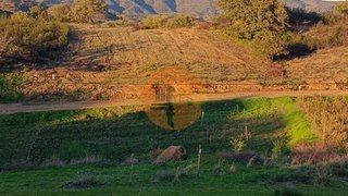 Land for sale in Castro Marim, Portugal — €16,000