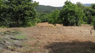 Land for sale in São Pedro do Sul, Portugal — €19,000