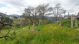 Land for sale in Castelo de Paiva, Portugal — €45,000