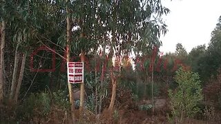 Land for sale in Águeda, Portugal — €500,000
