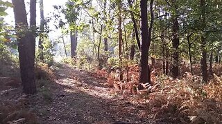 Terreno · 3000 m² · 252 000 €