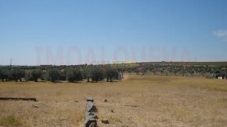 Land for sale in Reguengos de Monsaraz, Portugal — €250,000