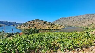 Land for sale in Torre de Moncorvo, Portugal — €246,000