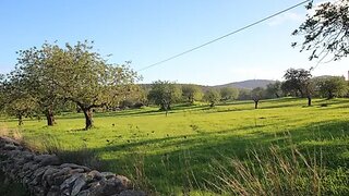 Land for sale in São Brás de Alportel, Portugal — €160,000