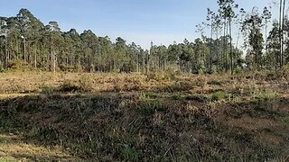 Land for sale in Ovar, Portugal — €150,000