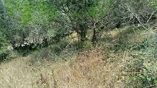 Land for sale in Sintra, Portugal — €850,000
