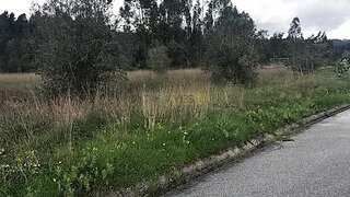 Land for sale in Mealhada, Portugal — €105,000