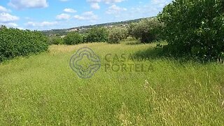 Land for sale in Tomar, Portugal — €60,000