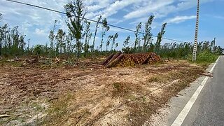 Terreno em Marinha Grande · 11 000 m² · 76 000 €