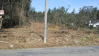 Land for sale in Ovar, Portugal — €75,000