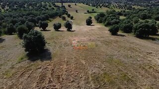 Land for sale in Torres Novas, Portugal — €37,500