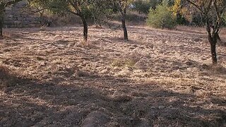 Land for sale in Loulé, Portugal — €36,000