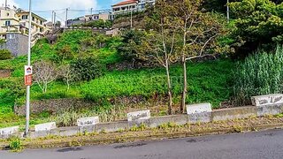 Land for sale in Ribeira Brava, Portugal — €100,000