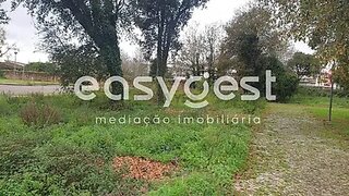 Land for sale in Albergaria-a-Velha, Portugal — €142,878