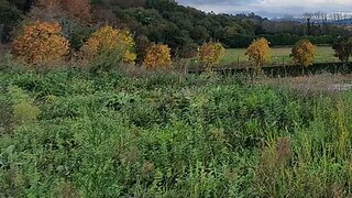 Land for sale in Vila Nova de Famalicão, Portugal — €78,000