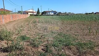Land for sale in Ovar, Portugal — €78,000