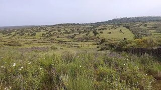 Land for sale in Nisa, Portugal — €67,500