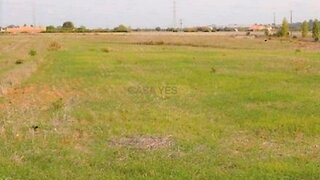Terreno em Aveiro · 330 m² · 195 000 €