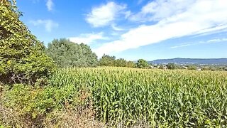 Terreno de 1900 m² em Viana do Castelo