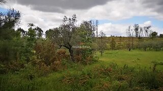 Terreno de 2554 m² em Seia