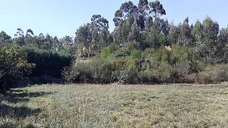 Land for sale in Barcelos, Portugal — €42,000