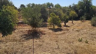 Land for sale in Loulé, Portugal — €82,000