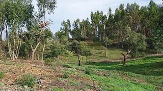 Land for sale in Grândola, Portugal — €150,000