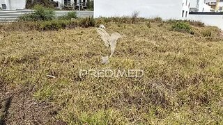 Land for sale in Sines, Portugal — €488,000