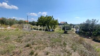 Land for sale in Tomar, Portugal — €55,000
