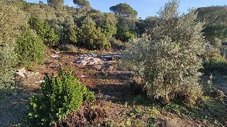 Land for sale in Alcanena, Portugal — €50,000