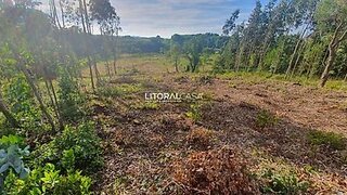Terreno em Aveiro · 4000 m² · 55 000 €
