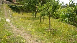 Land for sale in Caminha, Portugal — €95,000