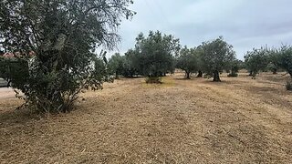 Land for sale in Tomar, Portugal — €18,200