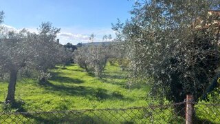 Land for sale in Alvaiázere, Portugal — €37,000
