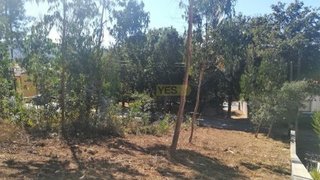 Land for sale in Caminha, Portugal — €90,000